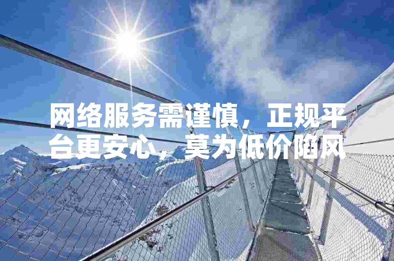 网络服务需谨慎，正规平台更安心，莫为低价陷风险。