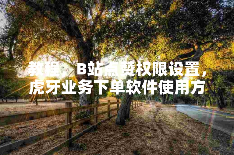 教程，B站点赞权限设置，虎牙业务下单软件使用方法详解。