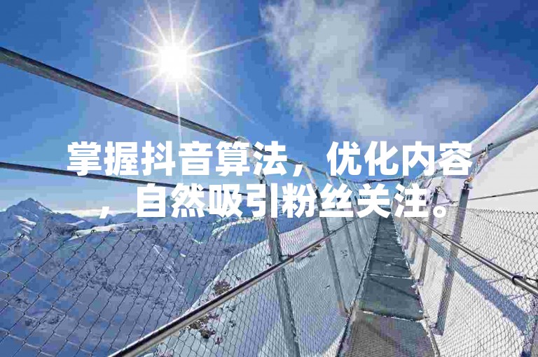 掌握抖音算法，优化内容，自然吸引粉丝关注。