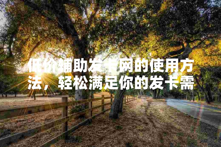 低价辅助发卡网的使用方法，轻松满足你的发卡需求！