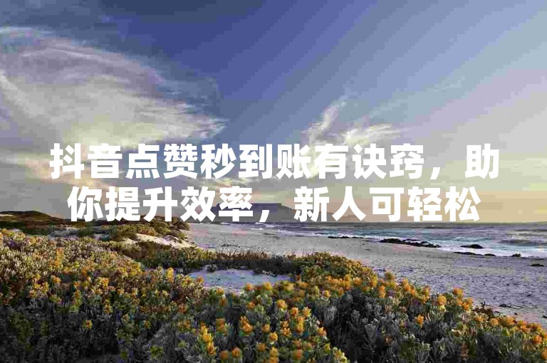 抖音点赞秒到账有诀窍，助你提升效率，新人可轻松掌握！