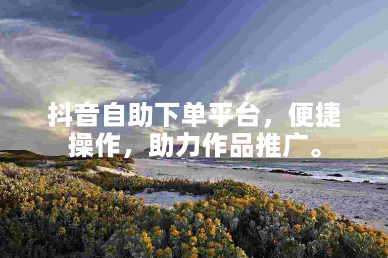 抖音自助下单平台，便捷操作，助力作品推广。