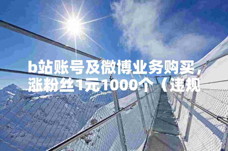 b站账号及微博业务购买，涨粉丝1元1000个（违规操作不可取）
