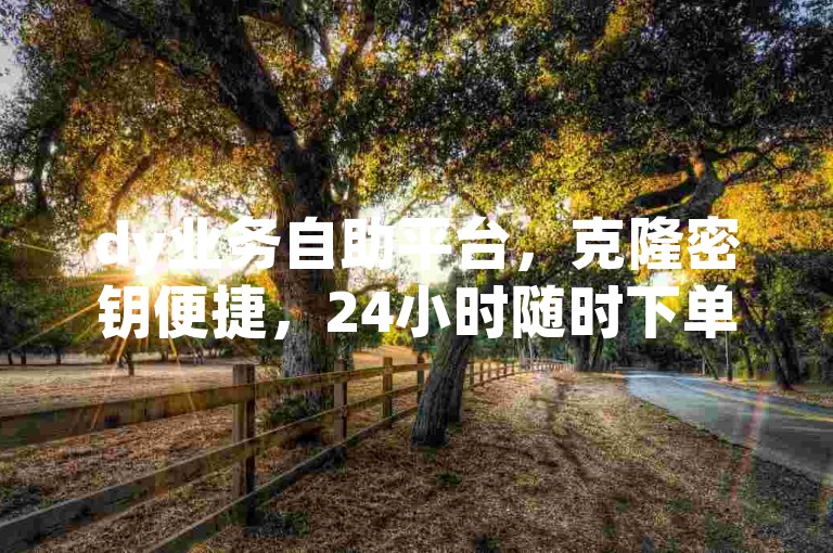 dy业务自助平台，克隆密钥便捷，24小时随时下单操作。