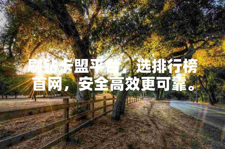 刷钻卡盟平台，选排行榜首网，安全高效更可靠。