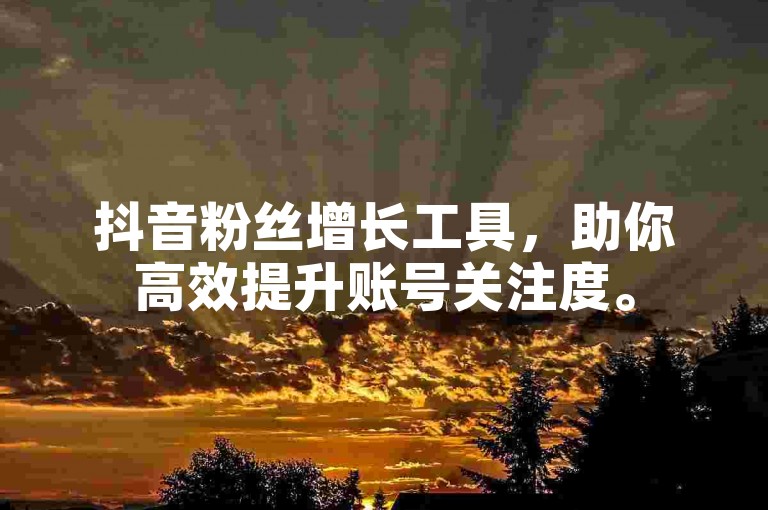 抖音粉丝增长工具，助你高效提升账号关注度。