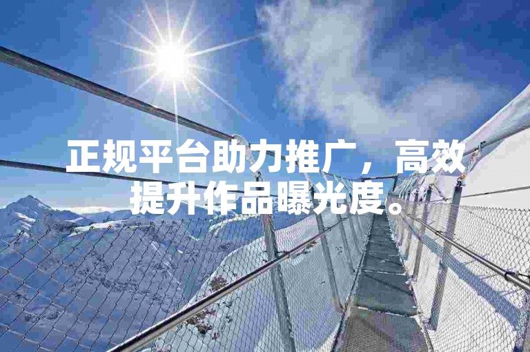 正规平台助力推广，高效提升作品曝光度。