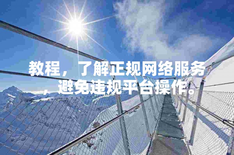 教程，了解正规网络服务，避免违规平台操作。