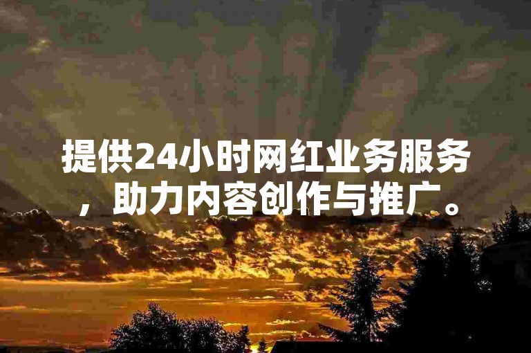提供24小时网红业务服务，助力内容创作与推广。