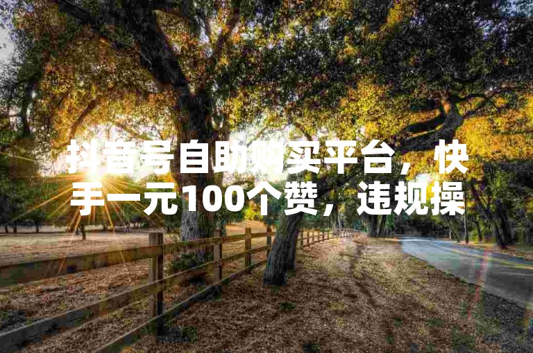 抖音号自助购买平台，快手一元100个赞，违规操作风险高。