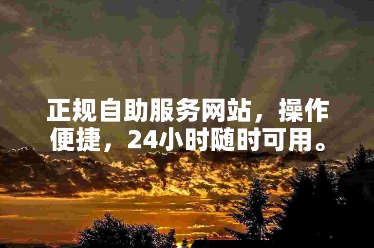 正规自助服务网站，操作便捷，24小时随时可用。