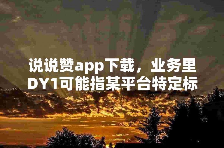 说说赞app下载，业务里DY1可能指某平台特定标识或分类代码。