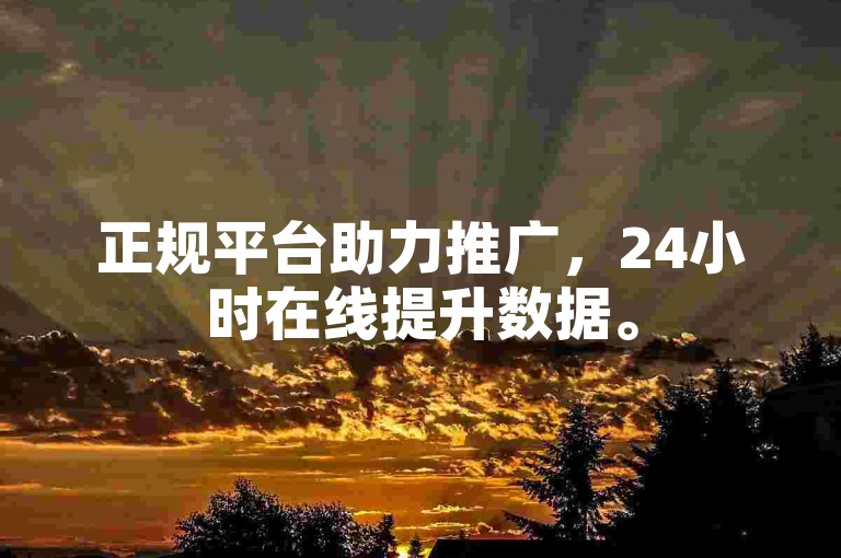 正规平台助力推广，24小时在线提升数据。