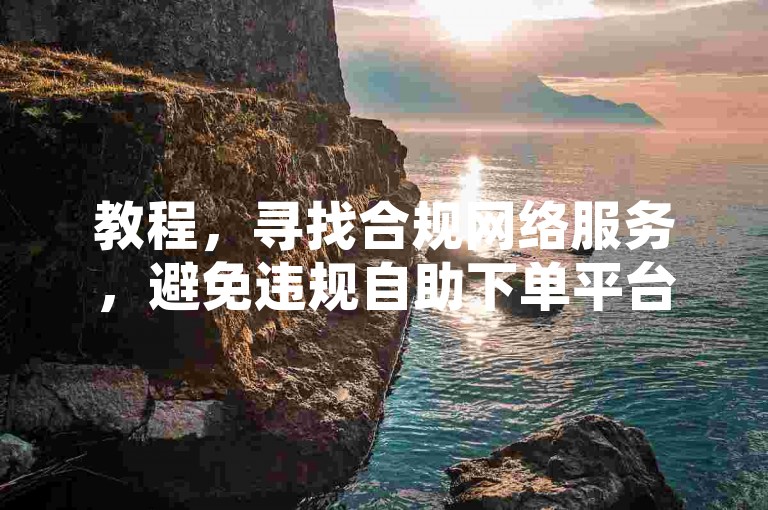教程，寻找合规网络服务，避免违规自助下单平台。