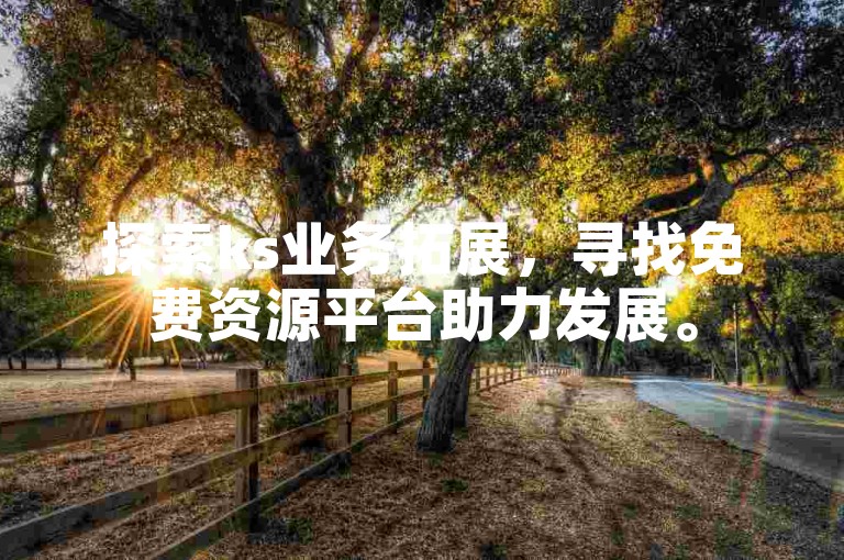 探索ks业务拓展，寻找免费资源平台助力发展。