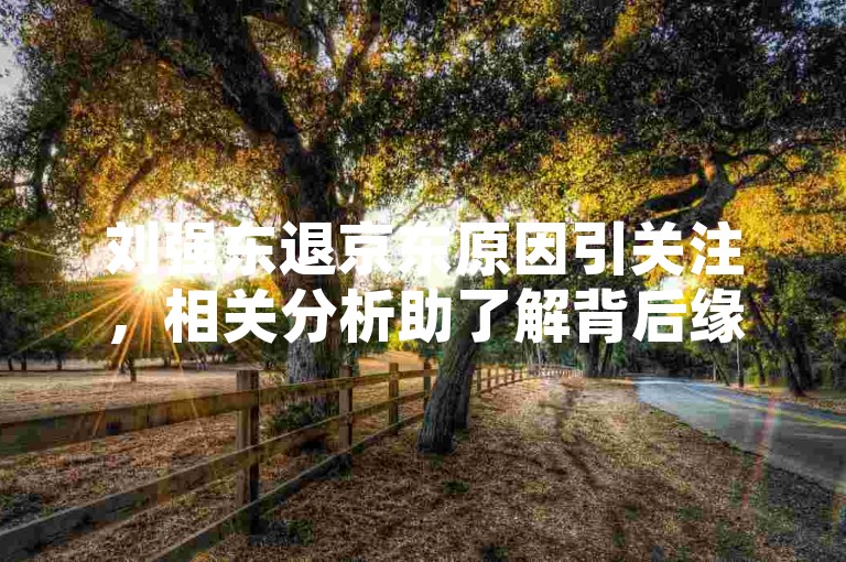 刘强东退京东原因引关注，相关分析助了解背后缘由。