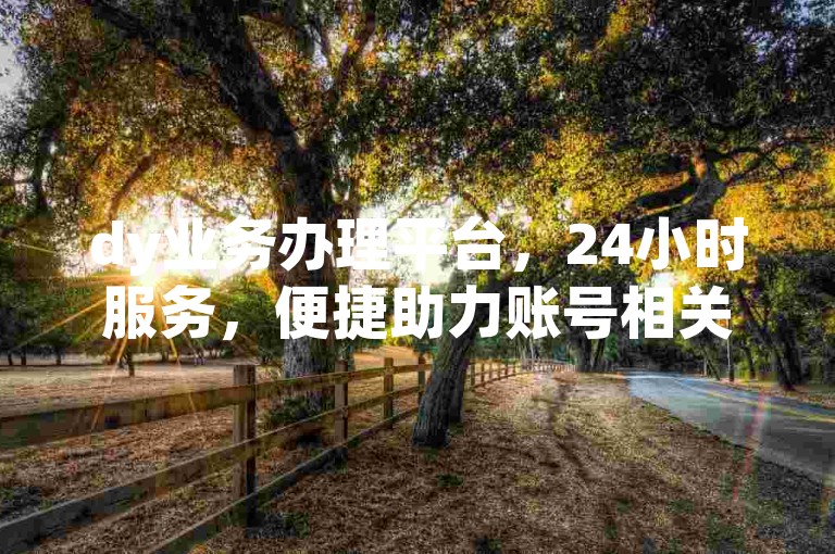 dy业务办理平台，24小时服务，便捷助力账号相关事务。