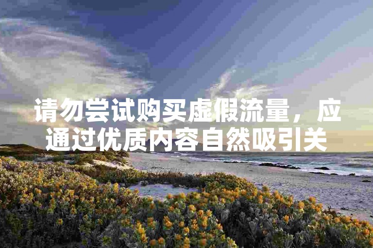 请勿尝试购买虚假流量，应通过优质内容自然吸引关注。