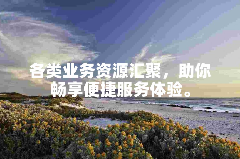 各类业务资源汇聚，助你畅享便捷服务体验。
