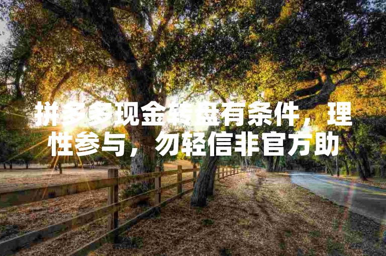 拼多多现金转盘有条件，理性参与，勿轻信非官方助力渠道。