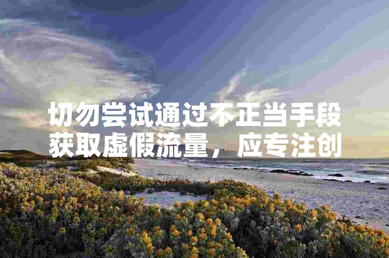 切勿尝试通过不正当手段获取虚假流量，应专注创作优质内容。