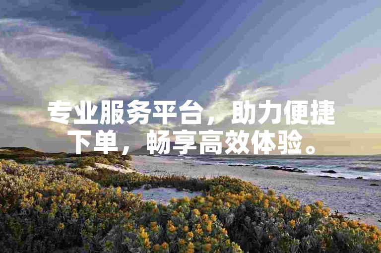 专业服务平台，助力便捷下单，畅享高效体验。