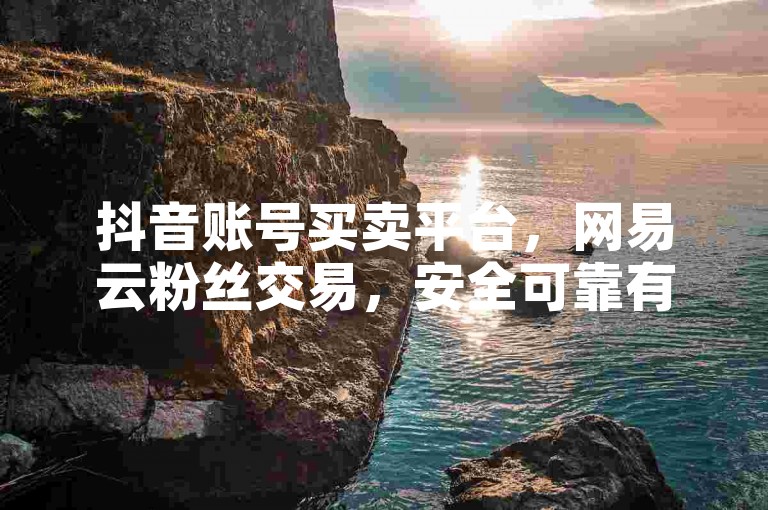 抖音账号买卖平台，网易云粉丝交易，安全可靠有保障