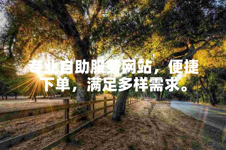 专业自助服务网站，便捷下单，满足多样需求。