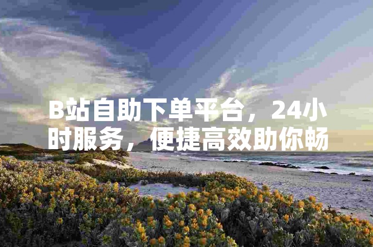 B站自助下单平台，24小时服务，便捷高效助你畅享体验。