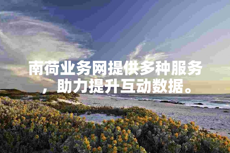 南荷业务网提供多种服务，助力提升互动数据。