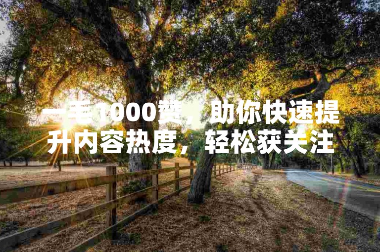 一毛1000赞，助你快速提升内容热度，轻松获关注。