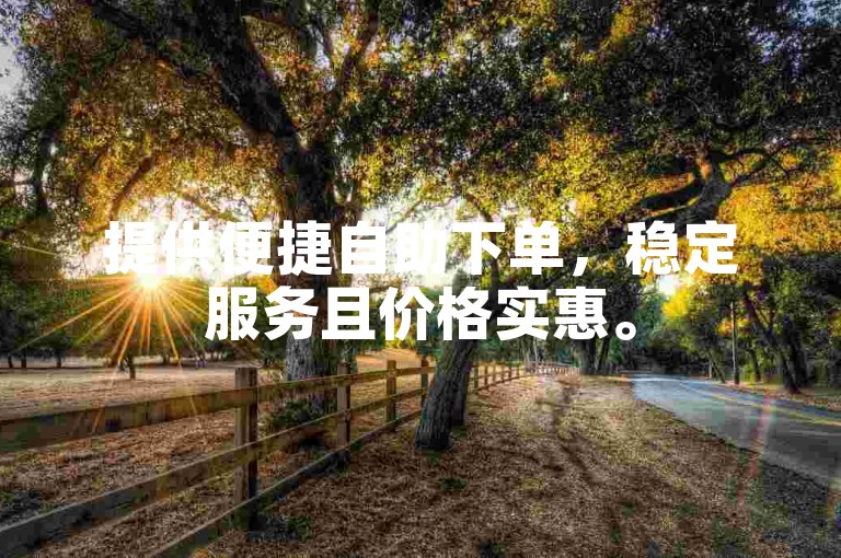 提供便捷自助下单，稳定服务且价格实惠。