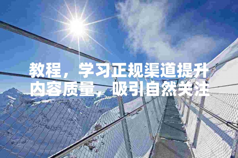 教程，学习正规渠道提升内容质量，吸引自然关注与互动。