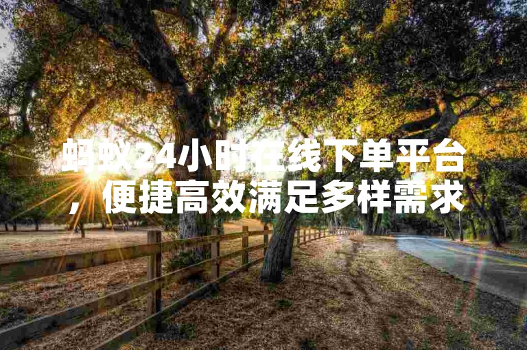 蚂蚁24小时在线下单平台，便捷高效满足多样需求。