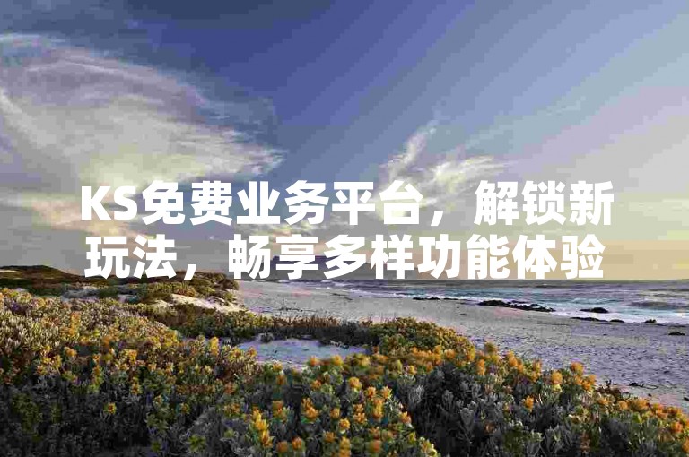 KS免费业务平台，解锁新玩法，畅享多样功能体验。