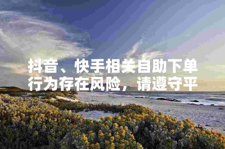 抖音、快手相关自助下单行为存在风险，请遵守平台规则。