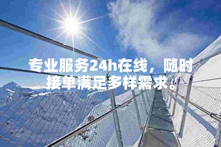 专业服务24h在线，随时接单满足多样需求。