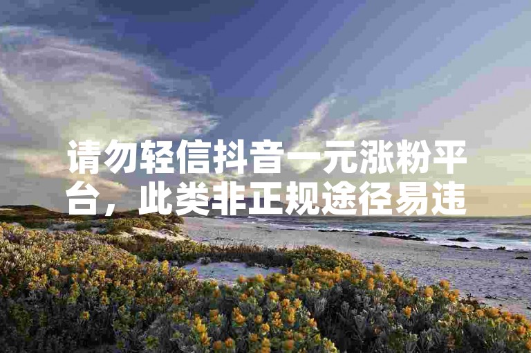 请勿轻信抖音一元涨粉平台，此类非正规途径易违规。