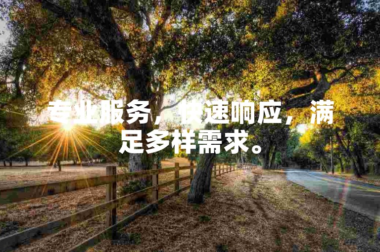 专业服务，快速响应，满足多样需求。