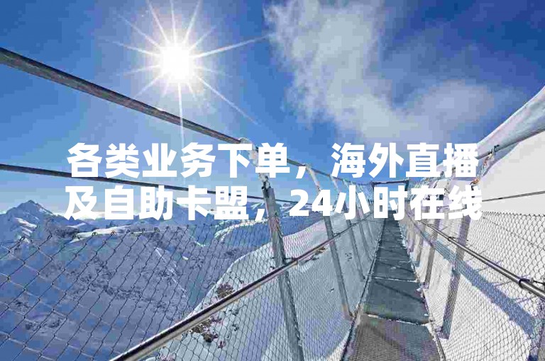 各类业务下单，海外直播及自助卡盟，24小时在线服务。