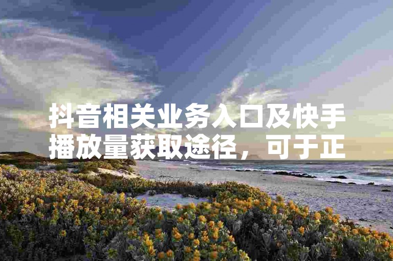 抖音相关业务入口及快手播放量获取途径，可于正规平台查询。