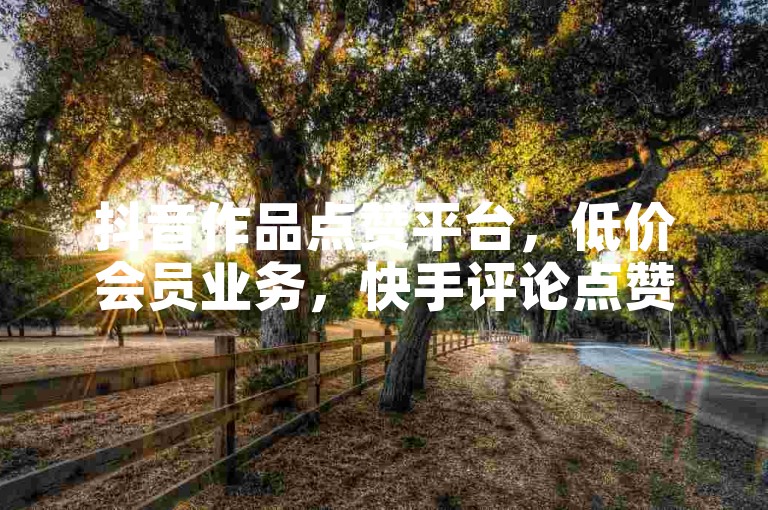 抖音作品点赞平台，低价会员业务，快手评论点赞自助平台有哪些？