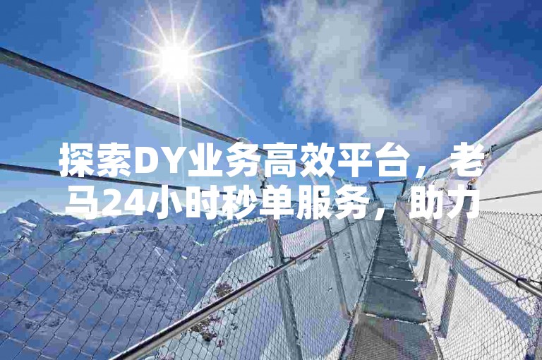 探索DY业务高效平台，老马24小时秒单服务，助力无忧操作。