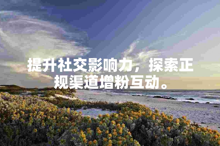 提升社交影响力，探索正规渠道增粉互动。