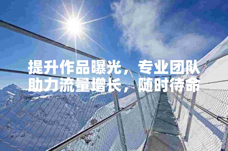提升作品曝光，专业团队助力流量增长，随时待命。