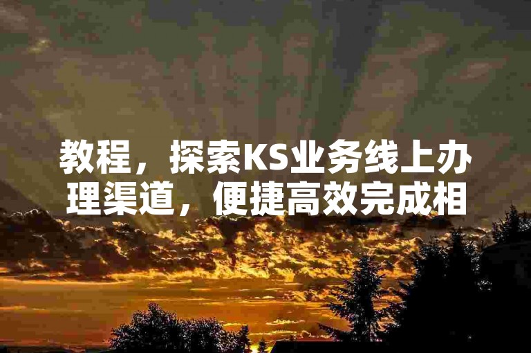 教程，探索KS业务线上办理渠道，便捷高效完成相关操作。