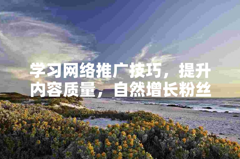 学习网络推广技巧，提升内容质量，自然增长粉丝与互动。