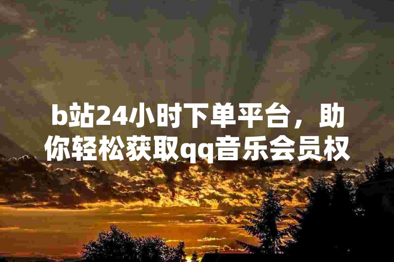 b站24小时下单平台，助你轻松获取qq音乐会员权益。