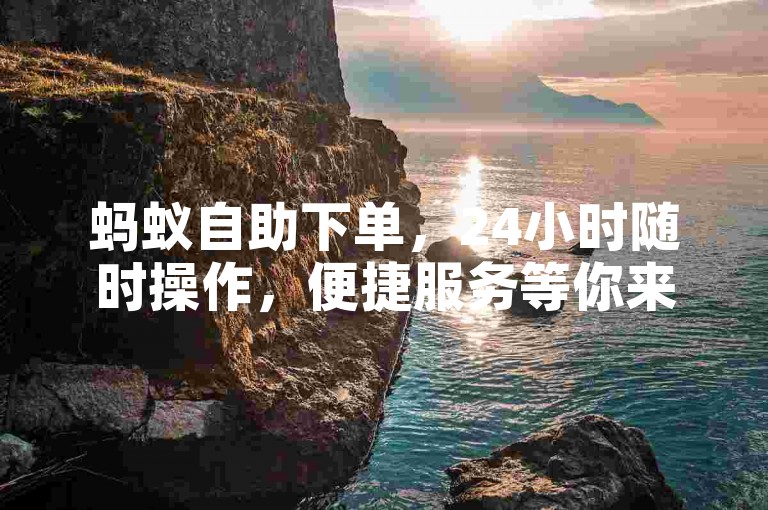 蚂蚁自助下单，24小时随时操作，便捷服务等你来体验。