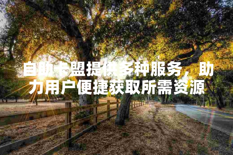 自助卡盟提供多种服务，助力用户便捷获取所需资源。